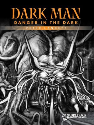 cover image of Danger in the Dark (Orange Series)